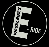 2010 DB E-Ride Banner
