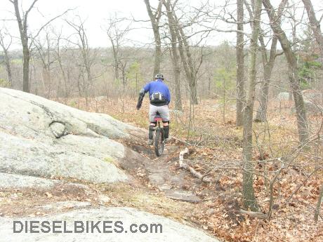 lynn woods mountain biking