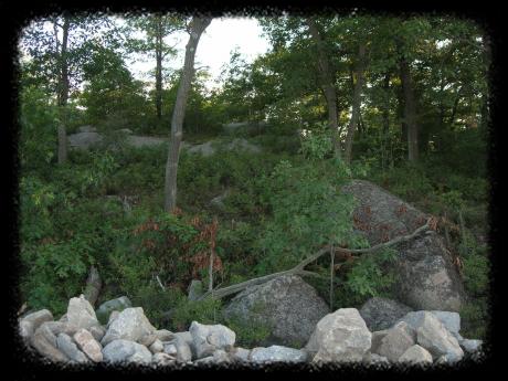 View development marker near Skulls Trail