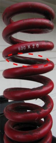 Rear Coil Spring